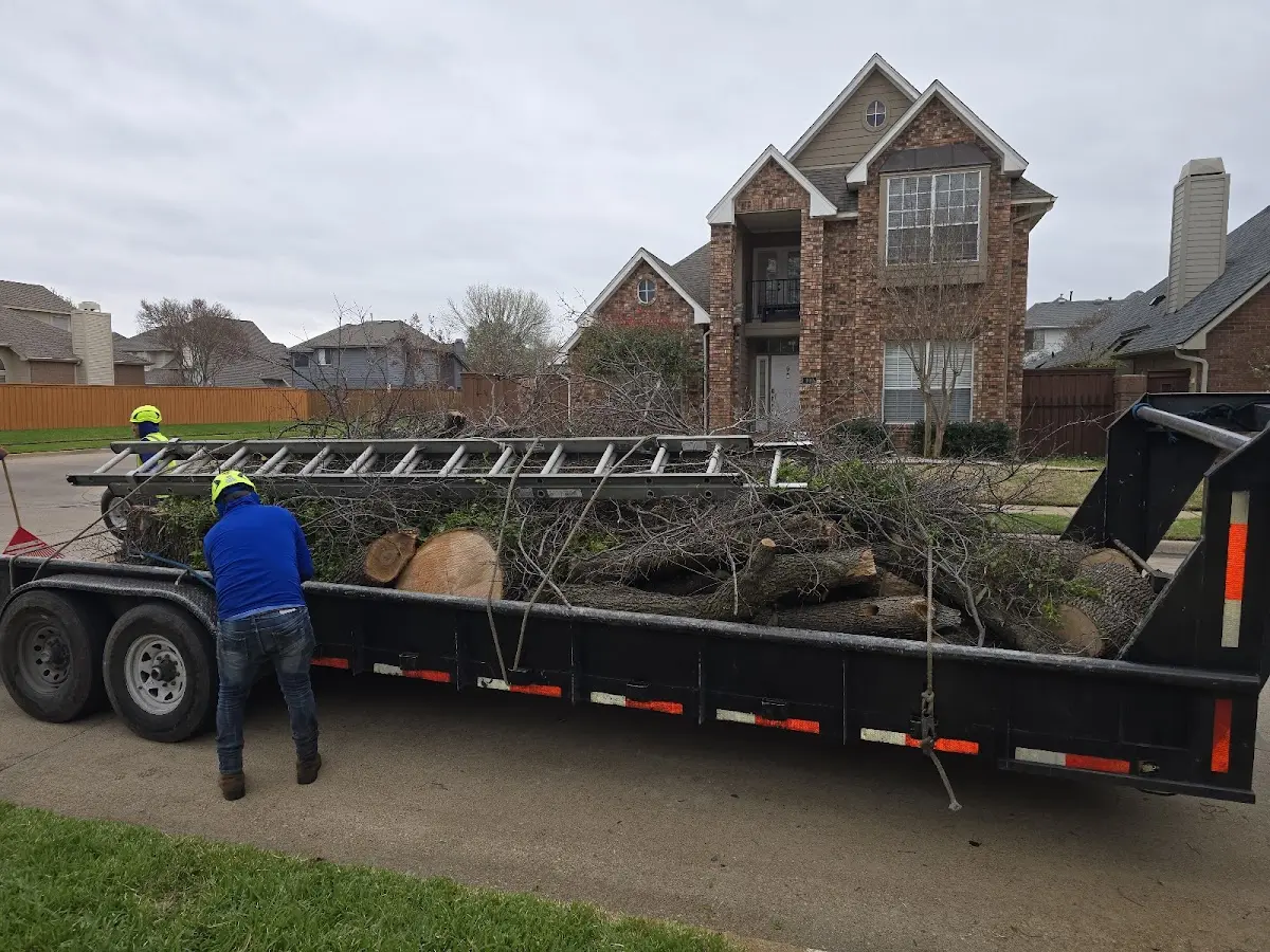 Expert Tree Fertilization with proper safety equipment in Pathfork